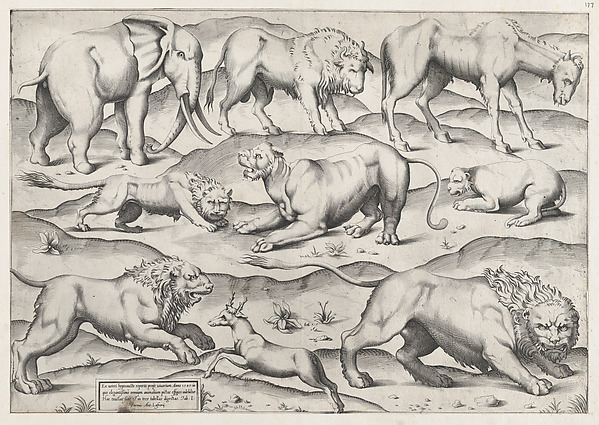 Anonymous, Wild Animals, from antique wall paintings, plate 1, from "Speculum Romanae Magnificentiae"