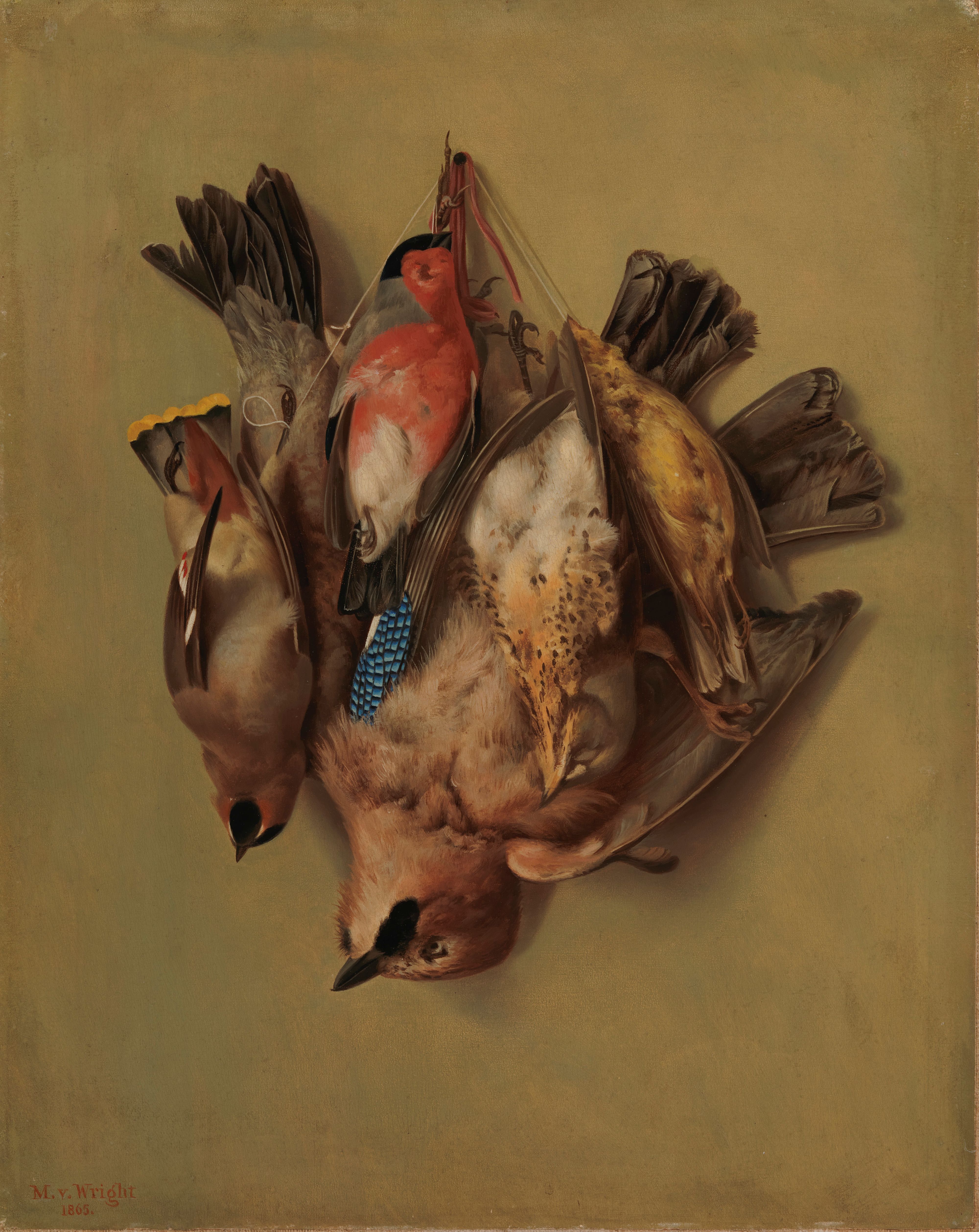 Magnus von Wright, Hanging Birds