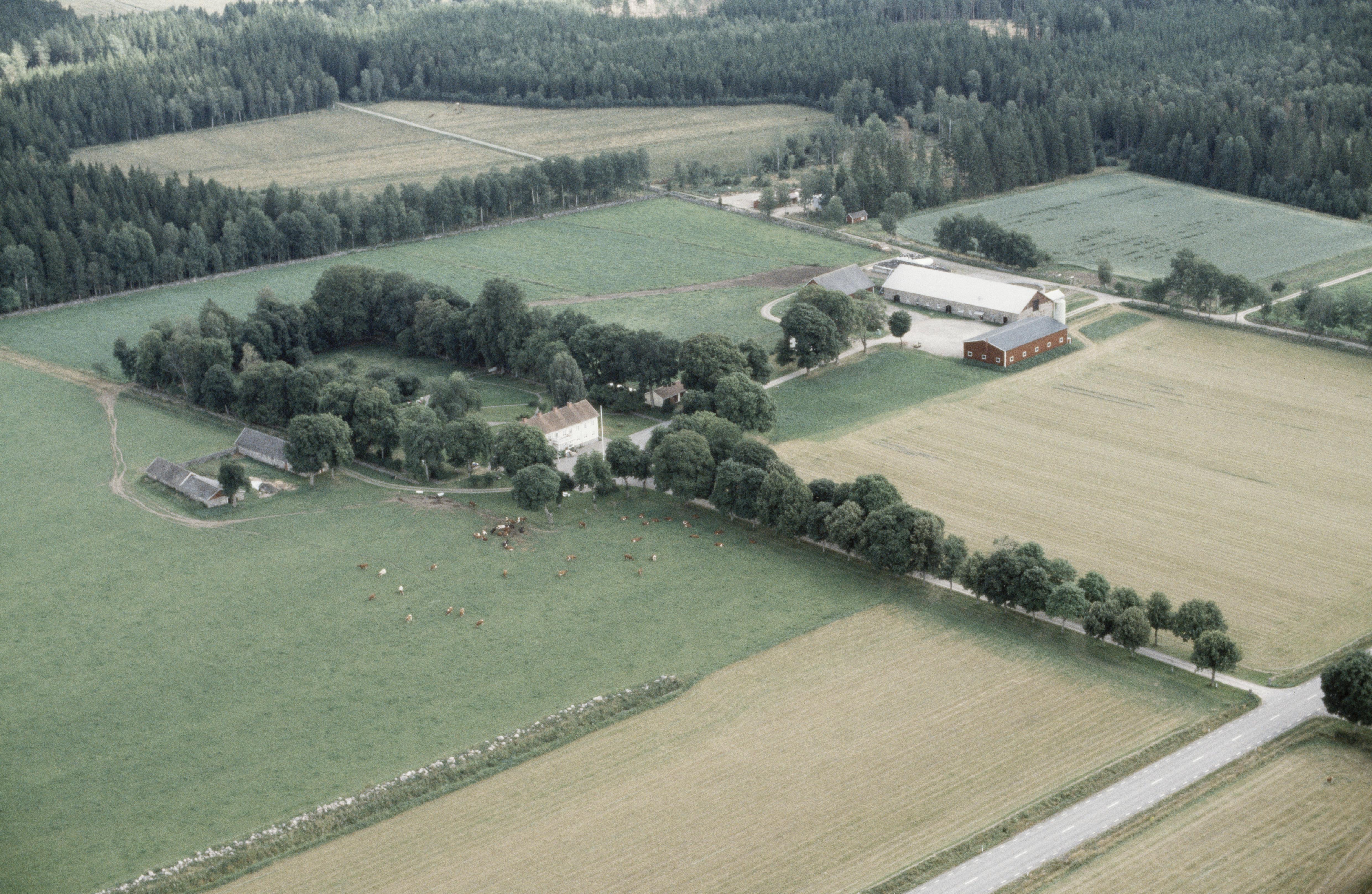 Jan Norrman, Torsjö