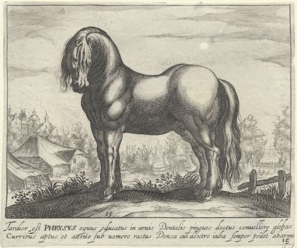 Panderen, Egbert van, (1581-1637?), (printmaker), Horse breeds: Landscape with a Friesian horse