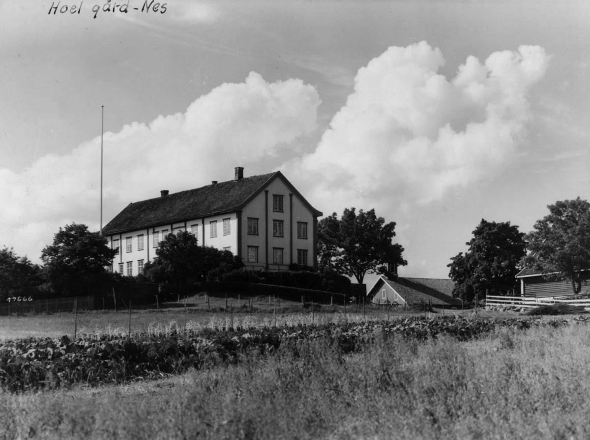 Anders Beer Wilse, Hoel gård