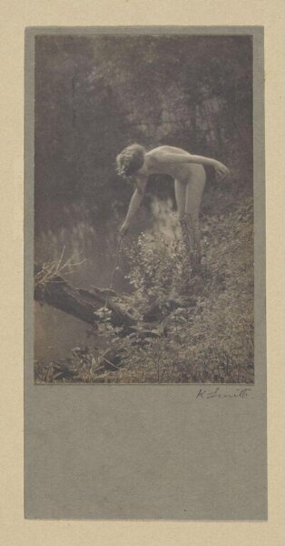 Smith, Kate, Water Boatmen (Water Flies)