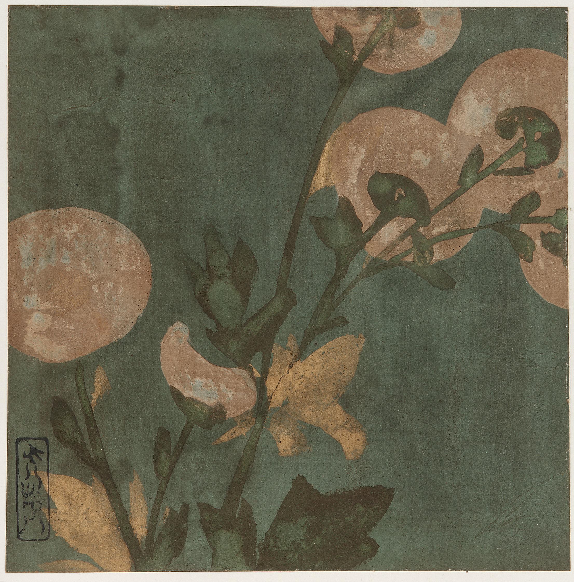 Attributed to Hon'ami Koetsu, Chrysanthemums