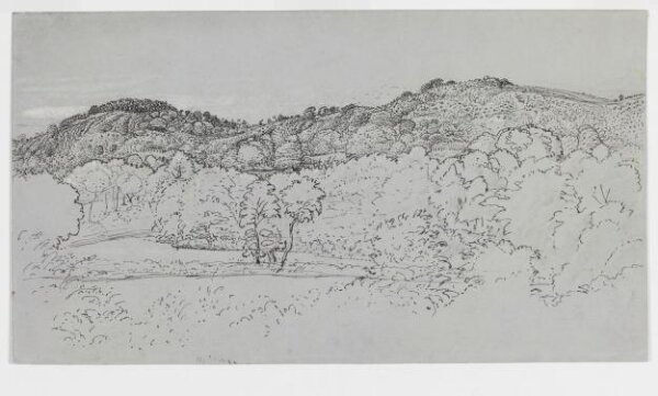 Samuel Palmer, A wooded hillside at Underriver, near Sevenoaks, Kent