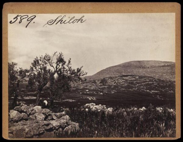 Francis Frith, Photograph