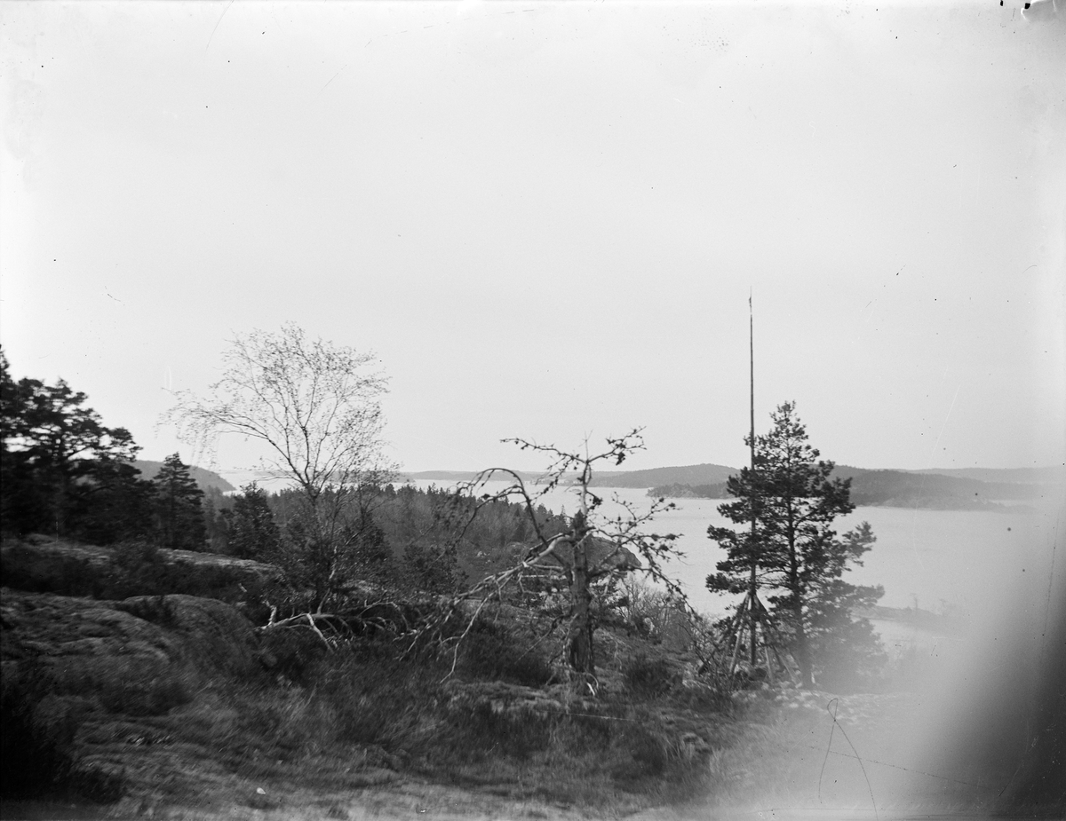 Carl Liljefors, Vy över berg och sjö, Sverige