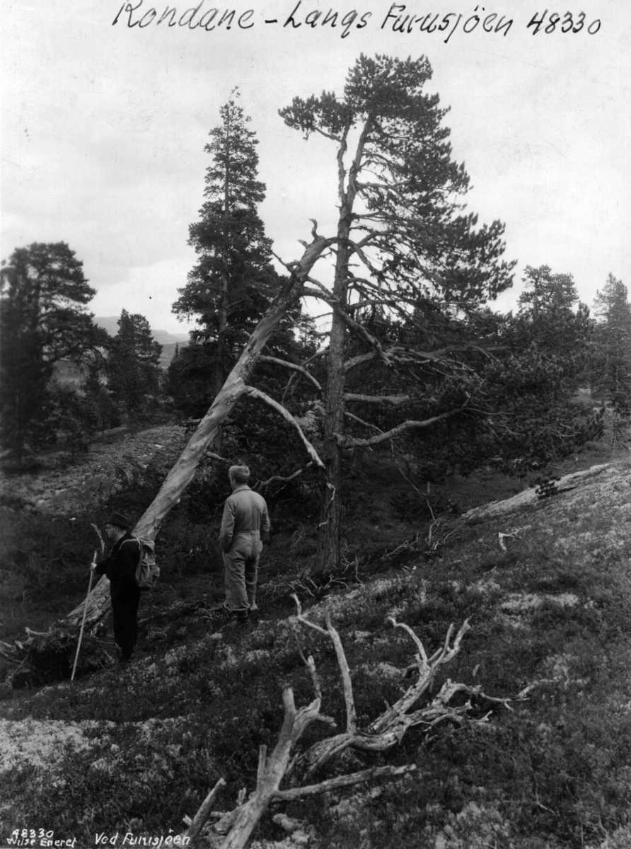 Anders Beer Wilse, Friluftsliv / Sport Turgåing v/ Furusjoen