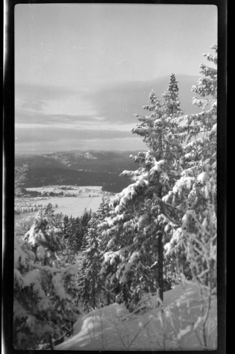 Rolf Sr. Sundt, Vinterutsikt fra Villa Knyggen i Voksenlia, Oslo. Fotografert 1921.