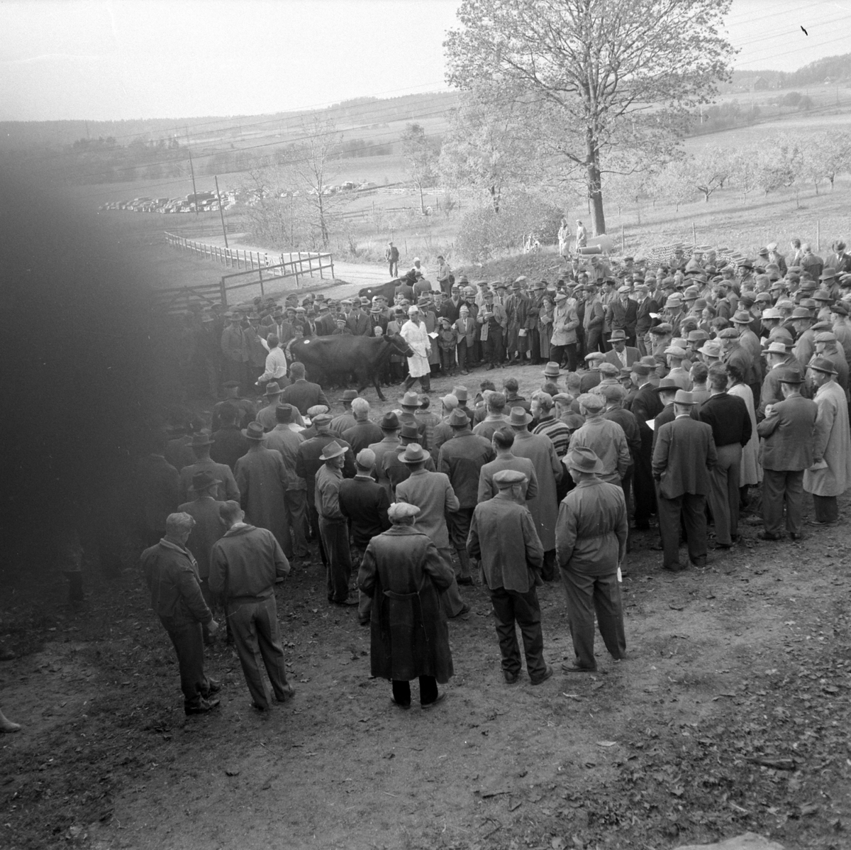Adolf Skjegstad, ASK-04534