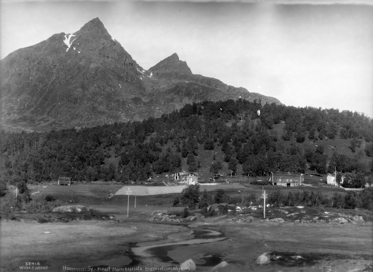 Anders Beer Wilse, Prot: Nordland, Hammarøy - Hamsuns barndomshjem