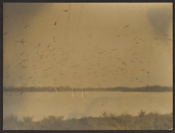 Louis Fleckenstein, [Landscape with Birds]