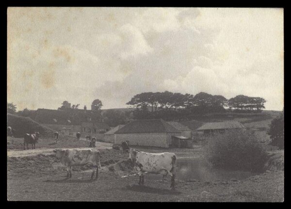 Gale, Lt. Col. Joseph, Landscape