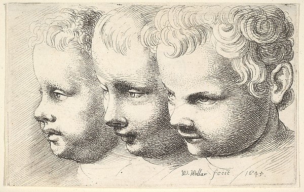 Wenceslaus Hollar, Three children's heads