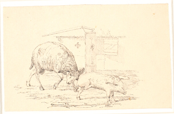 Johan Thomas Lundbye, Væderen og grisen. Illustration til Kaalunds "Fabler for Børn". Se kommentar fra arkkatalog.