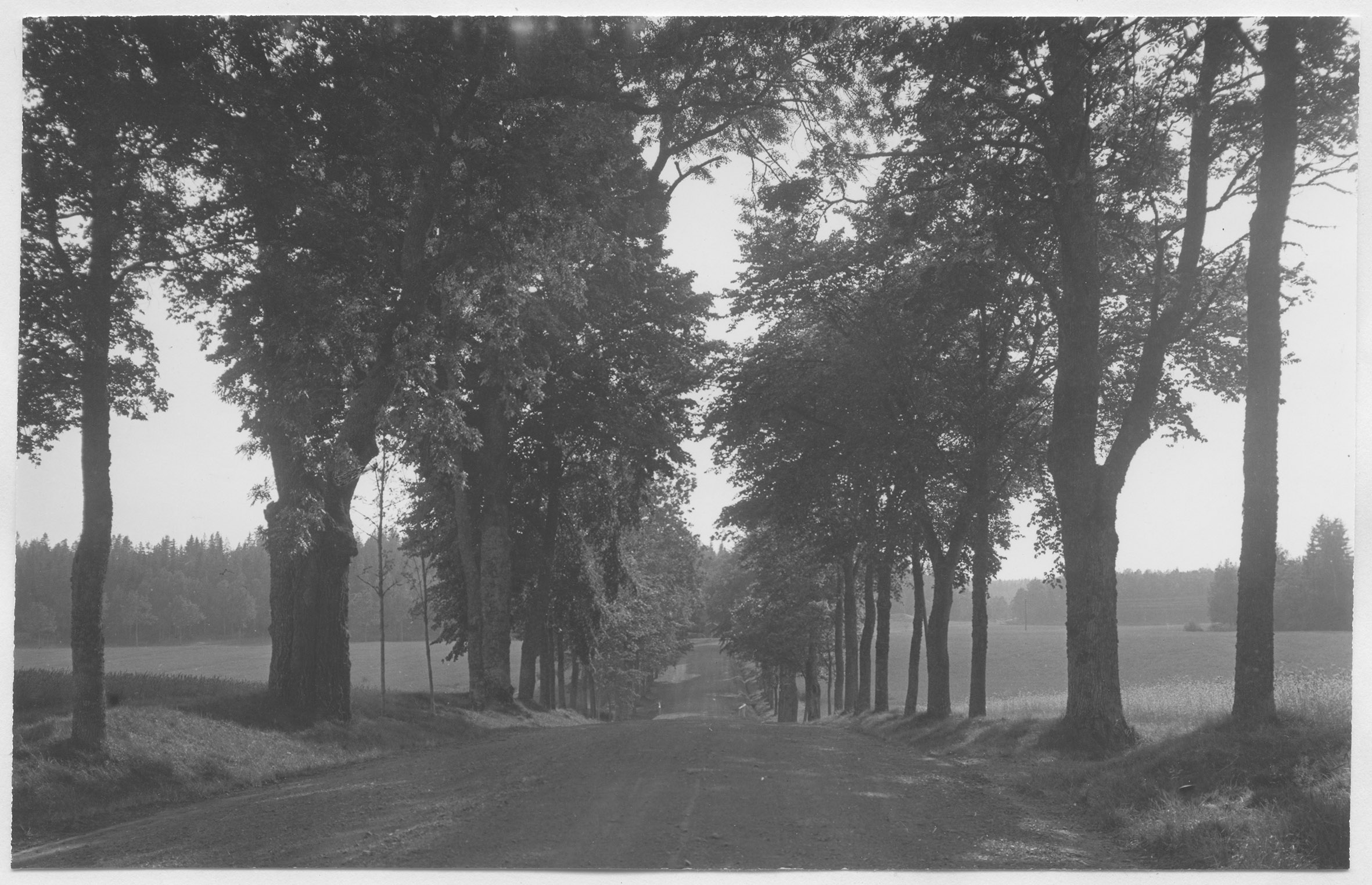 Mårten Sjöbeck, Stjärnsund