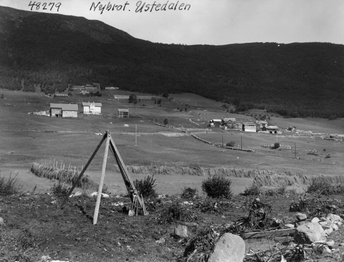 Anders Beer Wilse, Ustedalen, Landbruk, Nybrott, Oversiktsbilde
