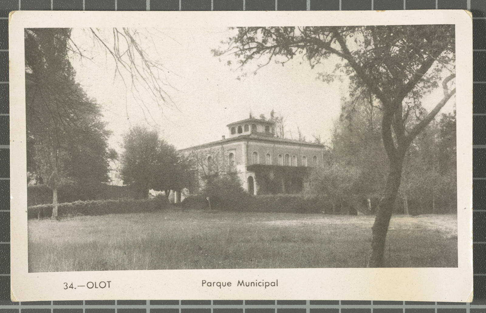 Desconegut, 34.-Olot. Municipal Park