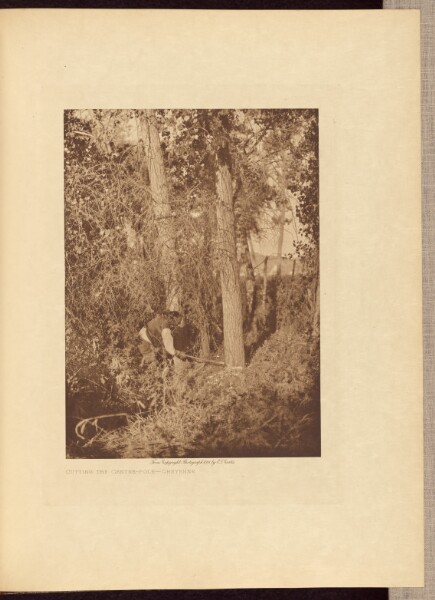 Edward S. Curtis, Cutting the Centre-pole - Cheyenne