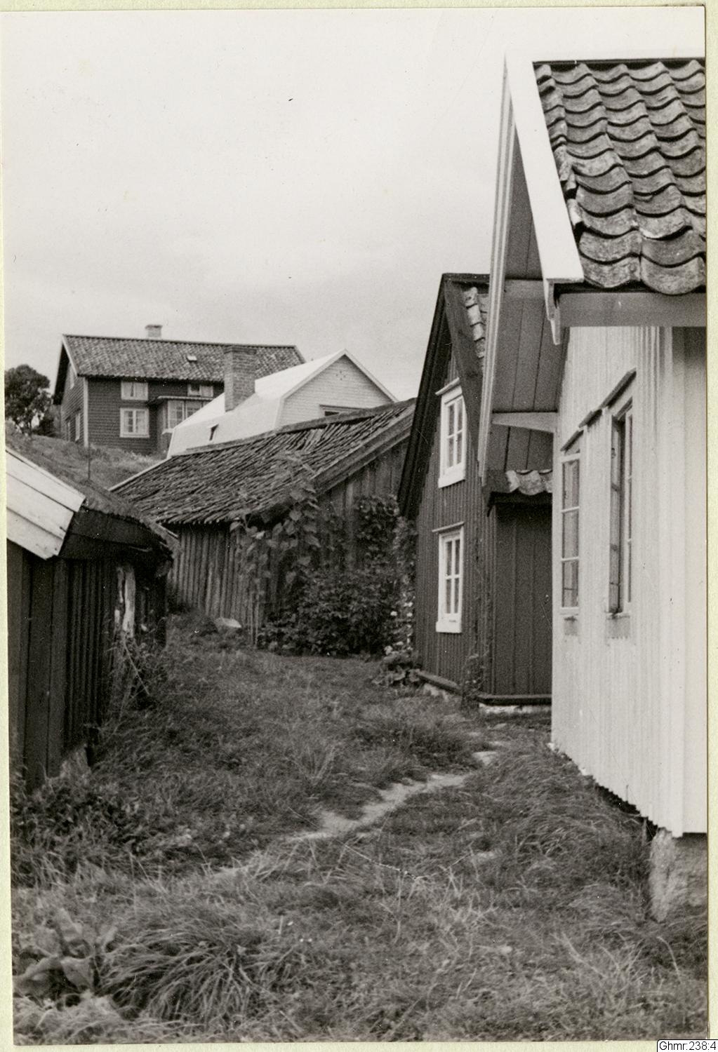 Otto Thulin, fotografi, bilder, påsiktsbild