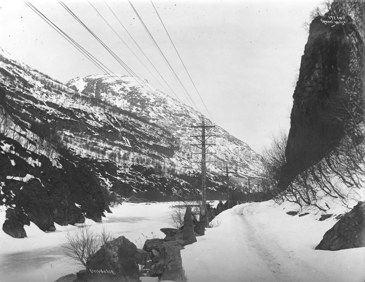 Anders Beer Wilse, Prot: Drivdalen Vårstigen 19/4