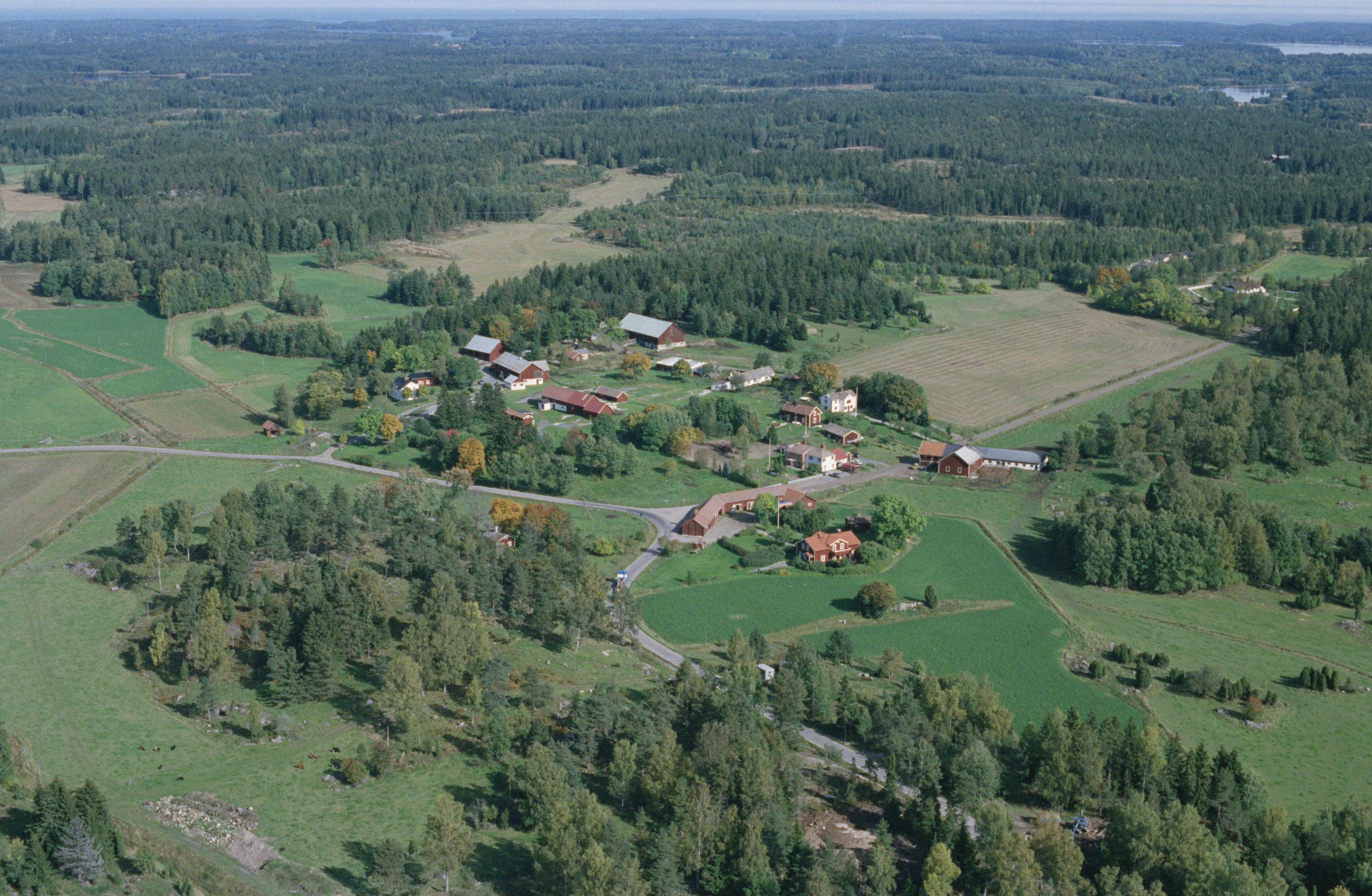 Jan Norrman, Anderssvedja