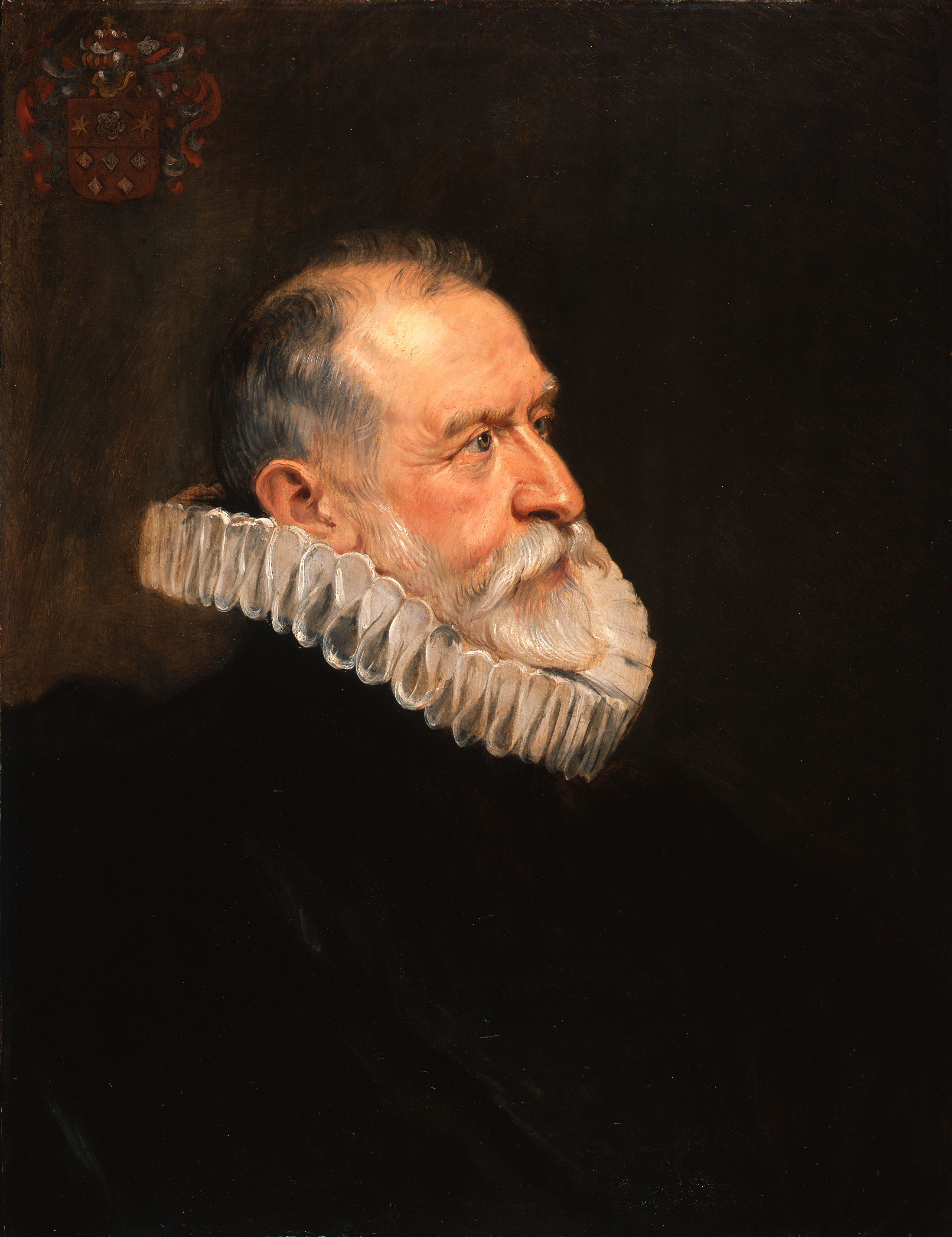 Peter Paul Rubens, Portrait of an Old Man