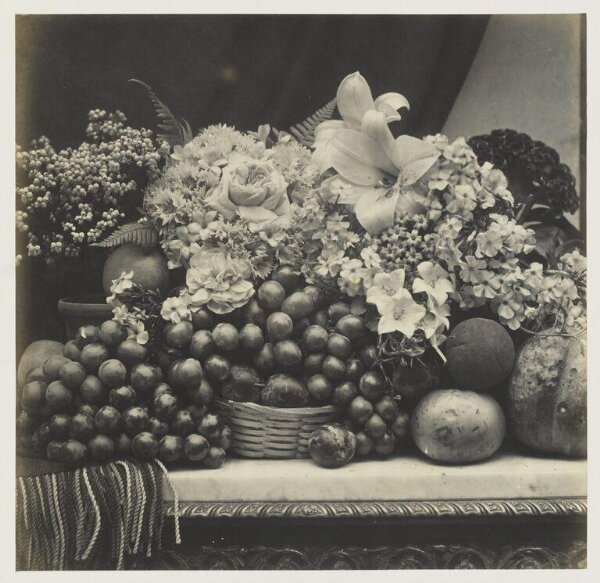 Fenton, Roger, Flowers and fruit