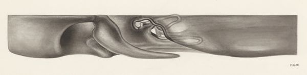 H.G Wetselaar, Sensory organs on an embryo