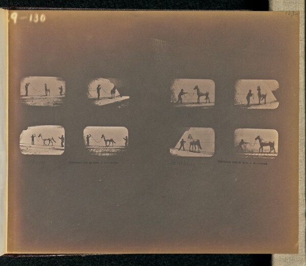 Eadweard J. Muybridge, Walking