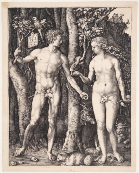 Albrecht Dürer, Adam og Eva