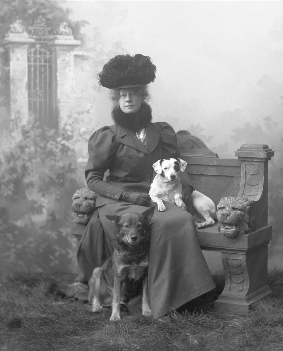 Gustav Borgen, Portrett av kvinne med to hunder. Kvinnen på en benk i studio med hund på fanget, den andre hunden under. Frøken Andresen med sine hunder.
