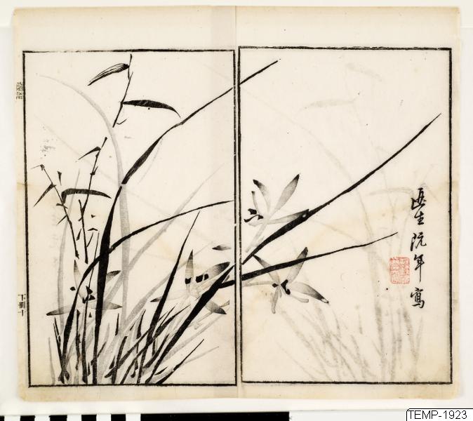 Unknown artist, Träsnitt, Bildkonst, Print, Woodblock, Woodcut