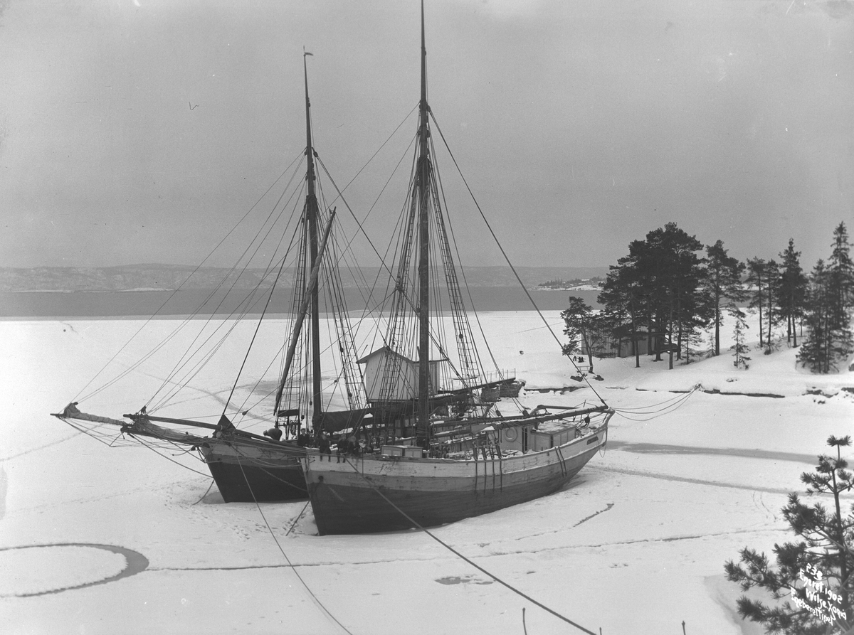 Anders Beer Wilse, Prot: Jakter oplagte i Devikbukten Hvalstad vinter Feb.1902