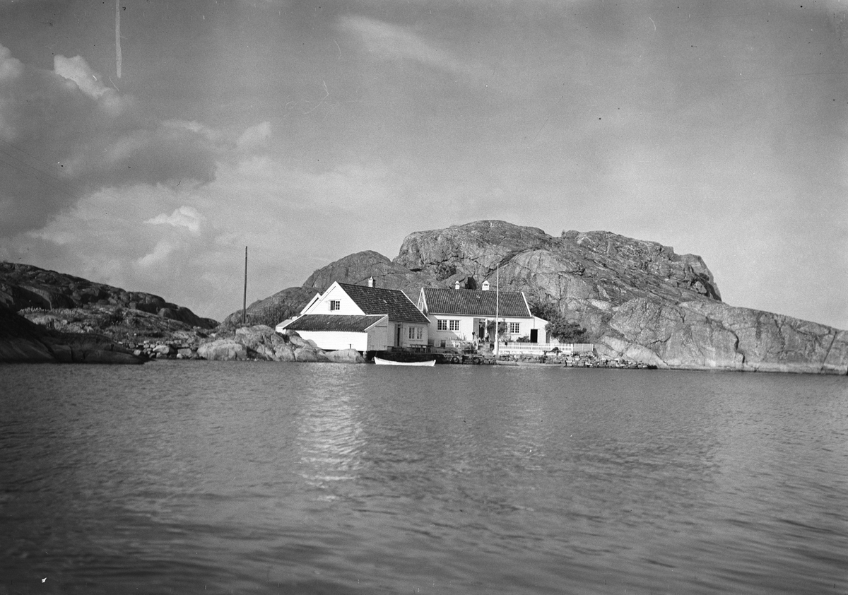 Anders Beer Wilse, Prot: Ny Hellesund