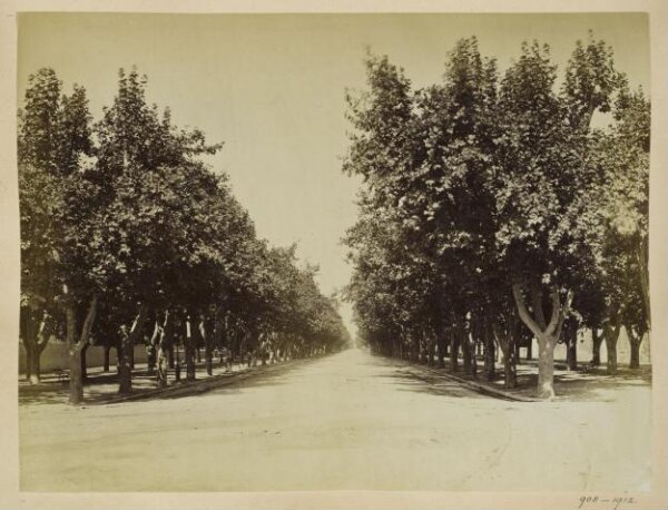 Unknown, Photograph