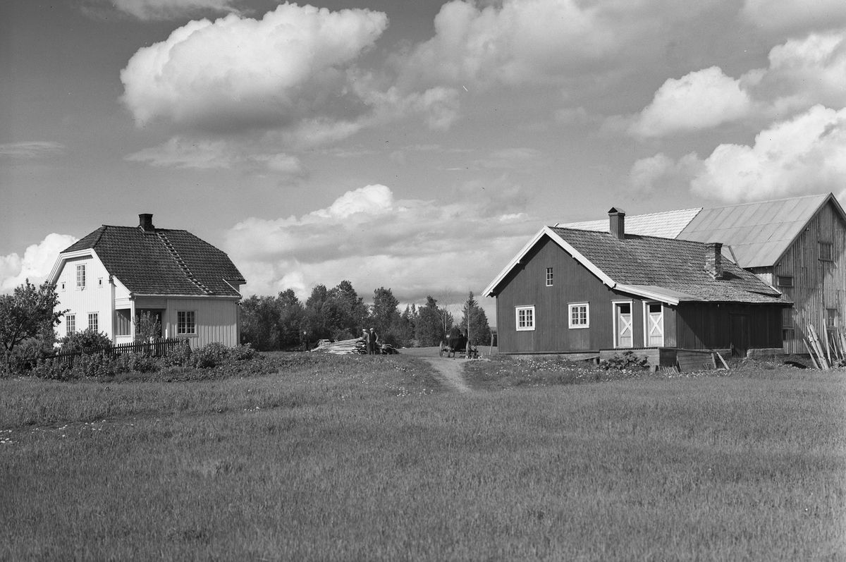 Anno Domkirkeodden, EKSTR: GARDSTUN, NORDBERG. Se Løtenboka, bind 1. Bygdeboka fra 1949, side 622