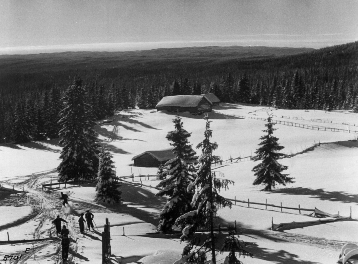 Anders Beer Wilse, Nordmarka, Friluftsliv/ Sport, Ski, Vinter, Sno
