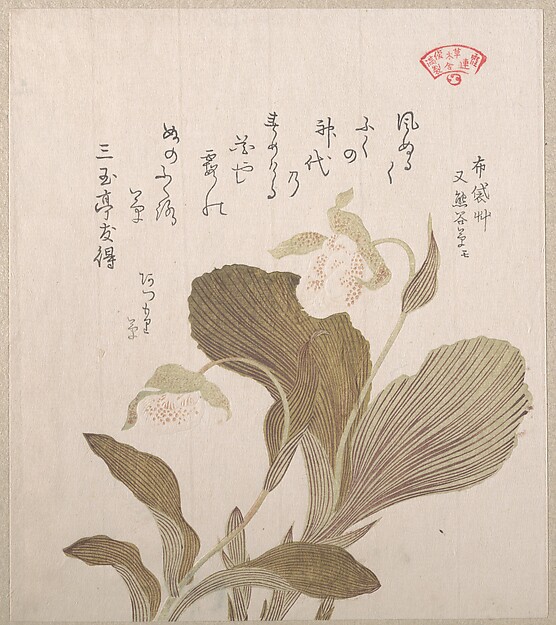 Kubo Shunman, Hotei Flowers