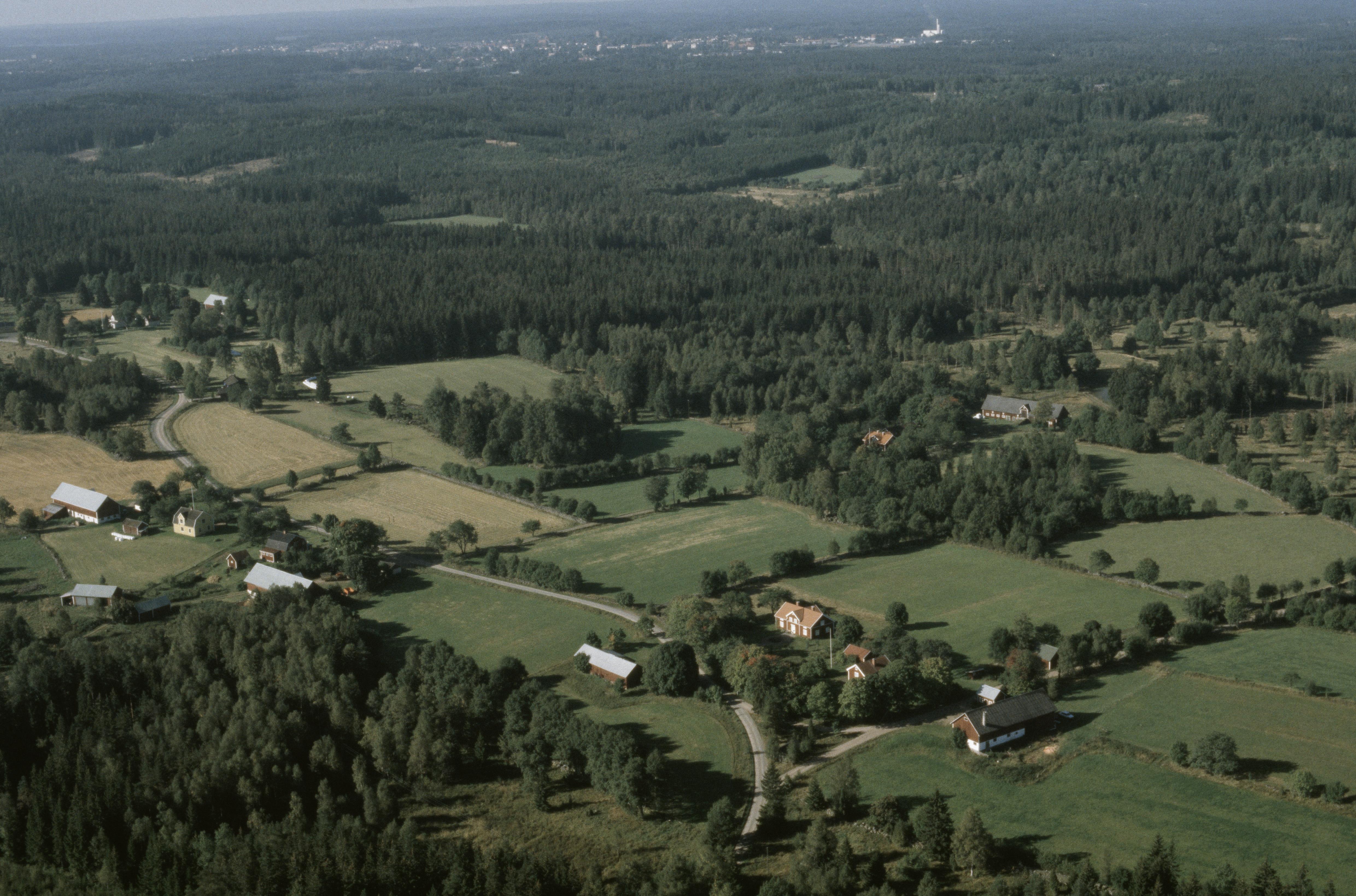Jan Norrman, Danstorp
