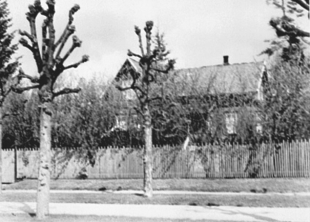 Anno Domkirkeodden, EKSTERIØR STANGEVEGEN 54, PLANKEGJERDE