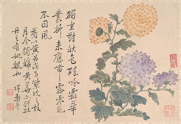 Unidentified artist, Chrysanthemums