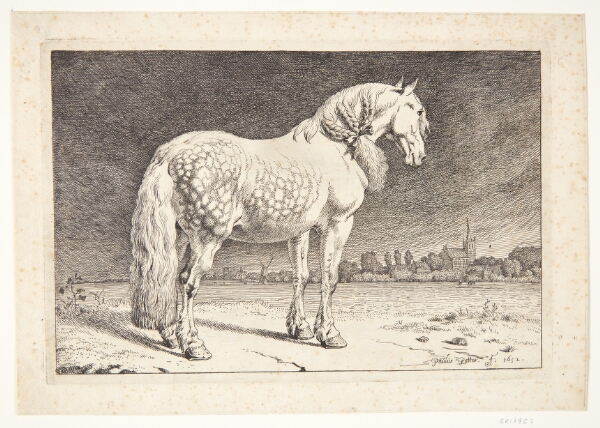 Paulus Potter, En frieserhest