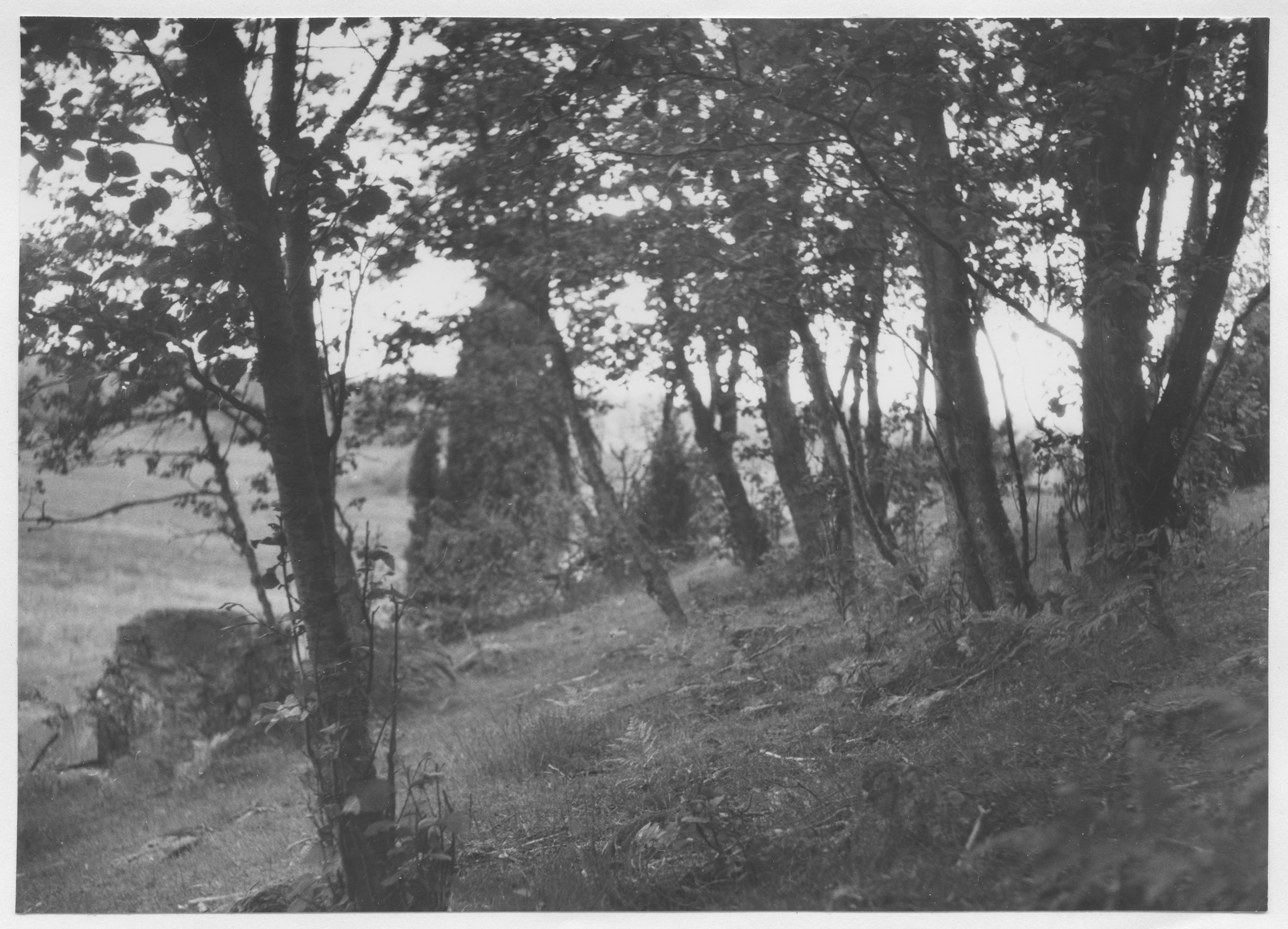 Mårten Sjöbeck, Dalen