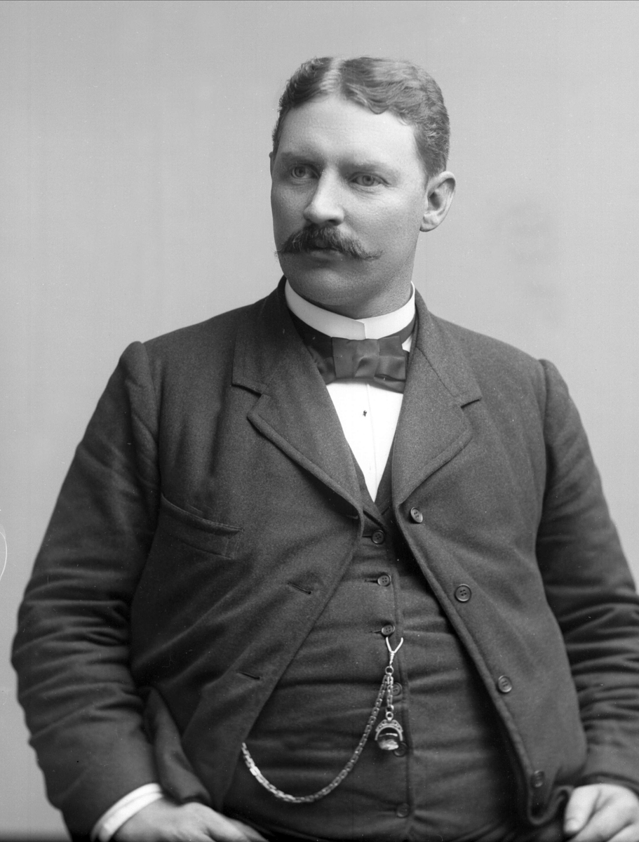 Gustav Borgen, NFB.30115