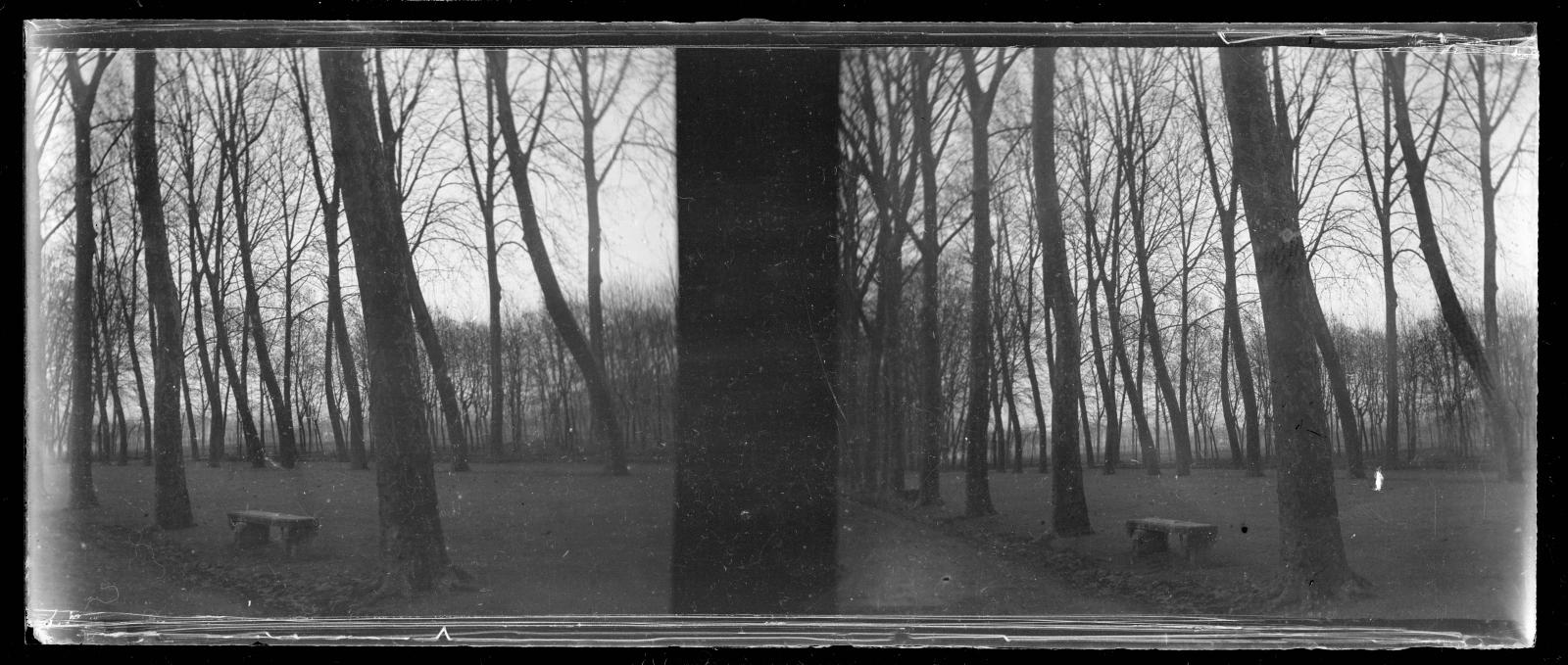 Desconegut, [The Meadow]