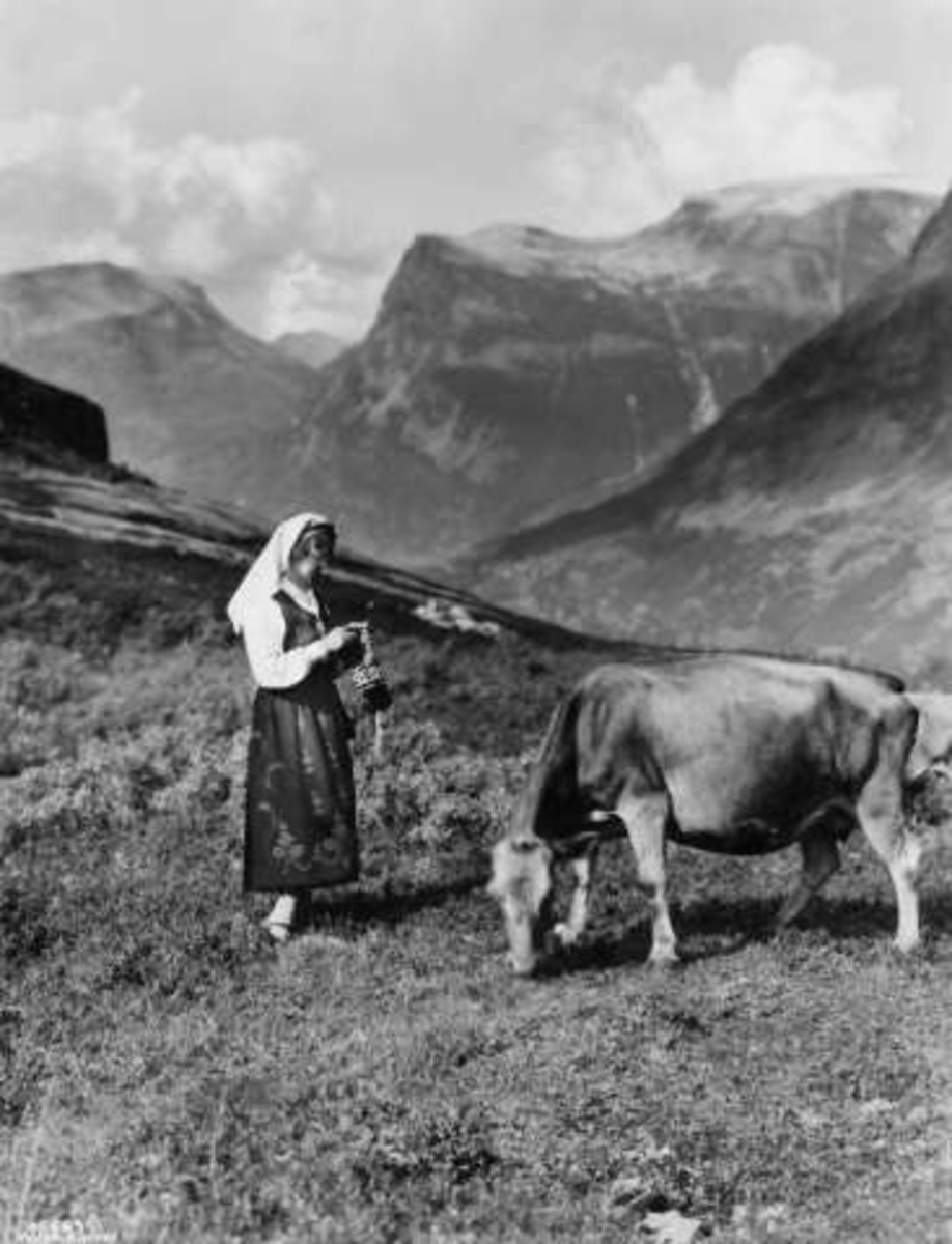 Anders Beer Wilse, -7907