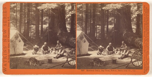 Carleton Watkins, Harrison Camp, Big Trees, Felton, Santa Cruz, Co., Cal.