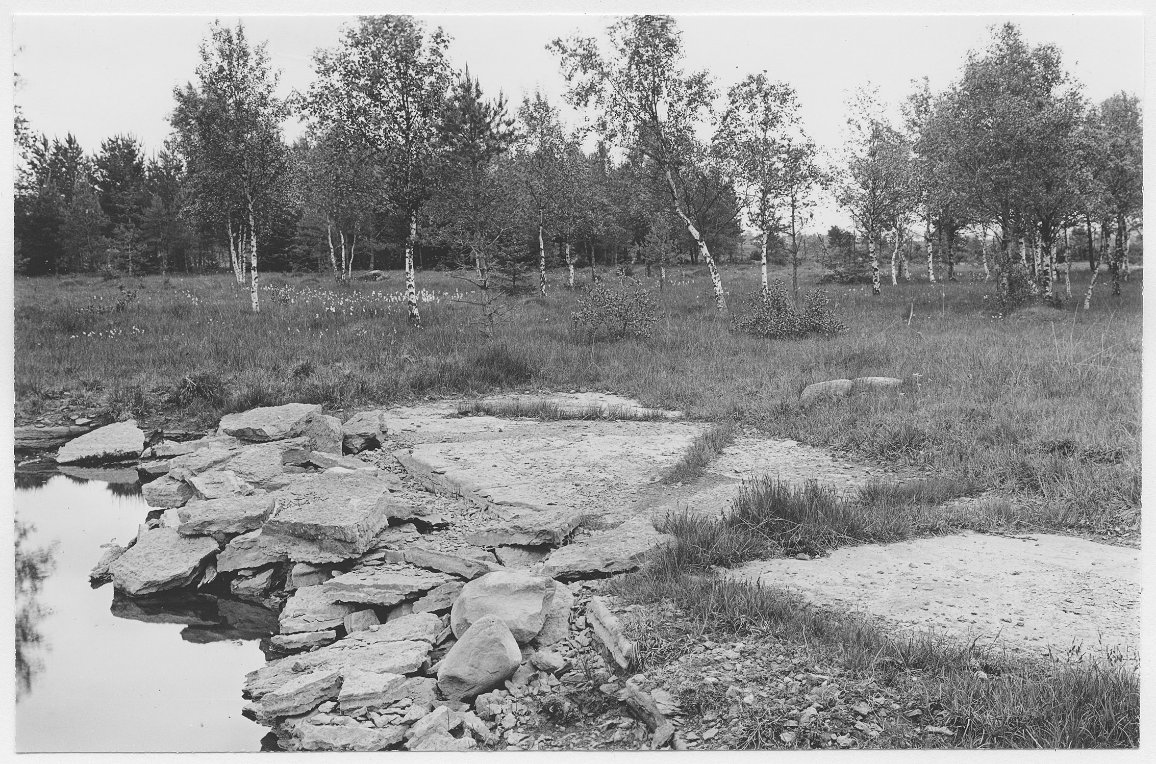 Mårten Sjöbeck, Lovene by, kalksten i ytan