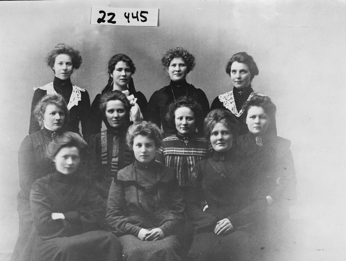 Ukjent, Gruppebilde kvinner - Stange Meieriskole 1905-1906