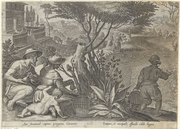 Galle, Philippe, (1537-1612), (printmaker), The hunting parties: Quail hunt with quail pipe and net